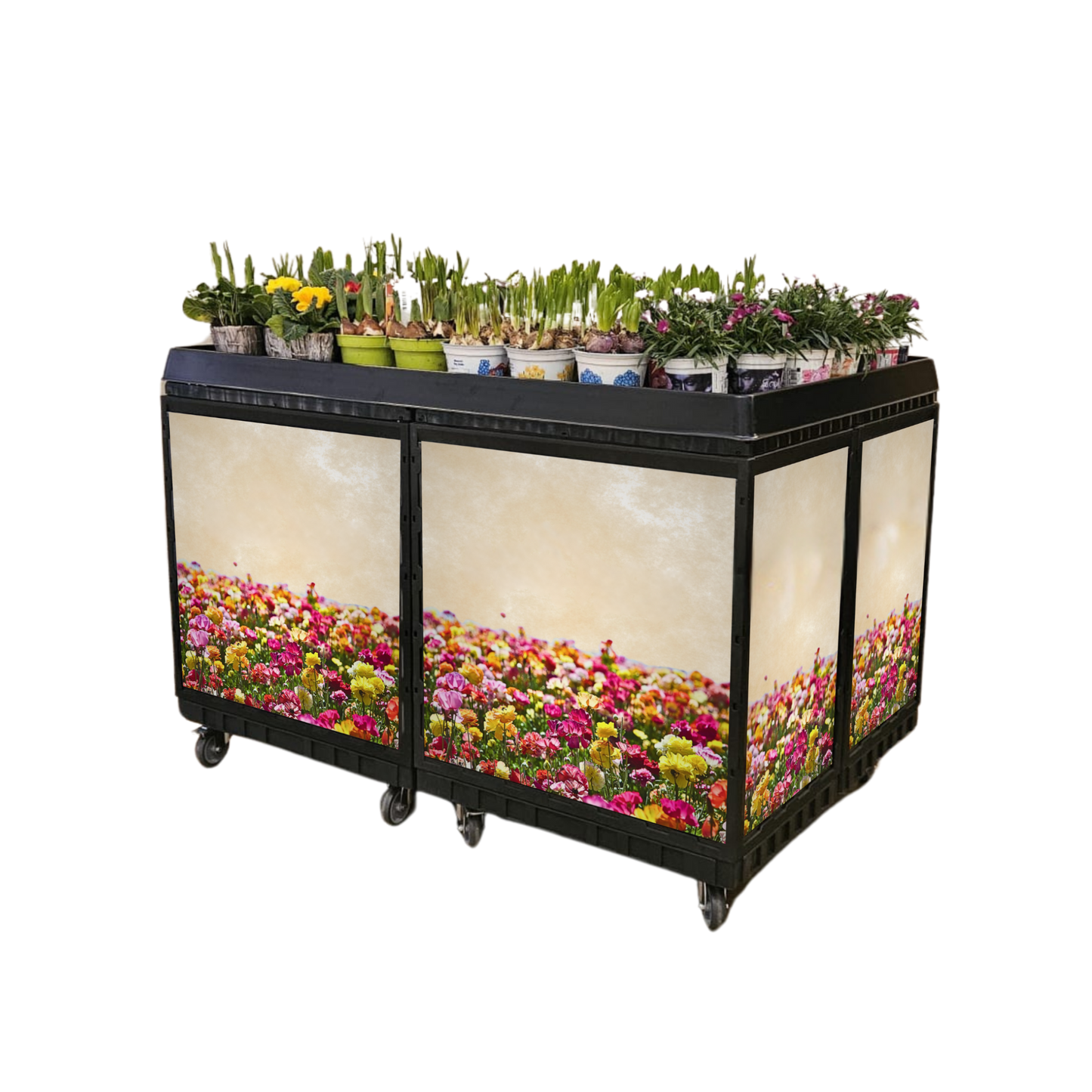 Blumenwanne schwarz 1200 x 800 mm