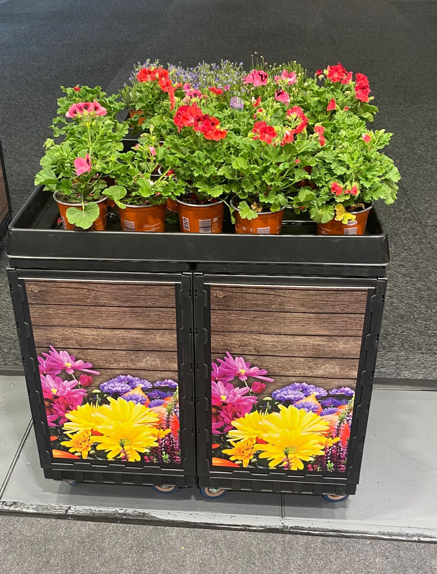 Blumenwanne schwarz 1200 x 800 mm