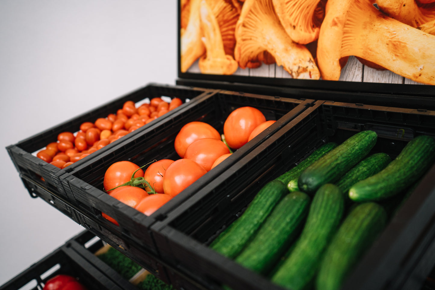 Klappbox in Holzoptik 20x30x11 cm schwarz