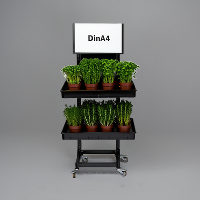 Mobiler Metall Verkaufsständer Variant 2er, Kräuter, Topfware
