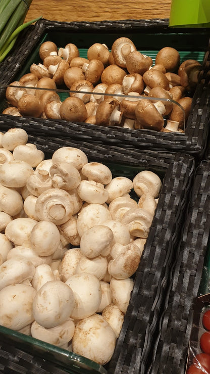 Rattan Korb 30x20x10 cm