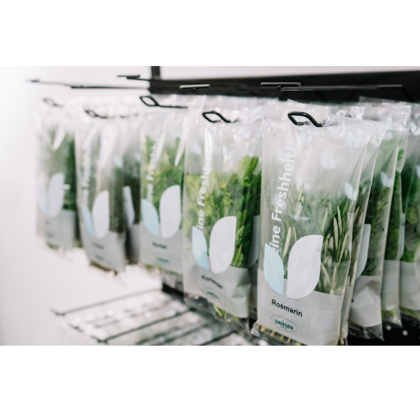 Mobiler Verkaufsständer Concept Schnittkräuter und Sprossen