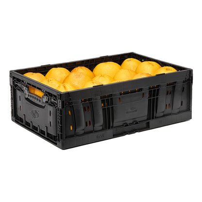 Klappbox schwarz 60x40x19 cm